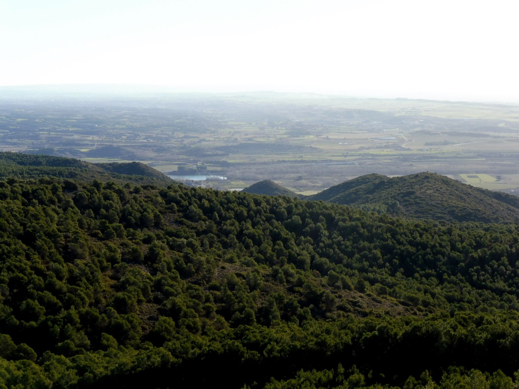 Castell de Campvim (les Avellanes i Santa Linya): vista al sud: la plana del Segrià This is a photo of a building indexed in the Catalan heritage register as Bé Cultural d'Interès Local (BCIL) under the reference IPA-30749.