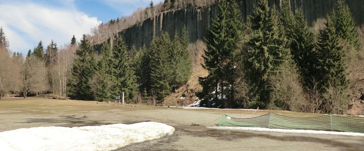 A snowy field with a green netted area, surrounded by dense forest and a steep cliff.