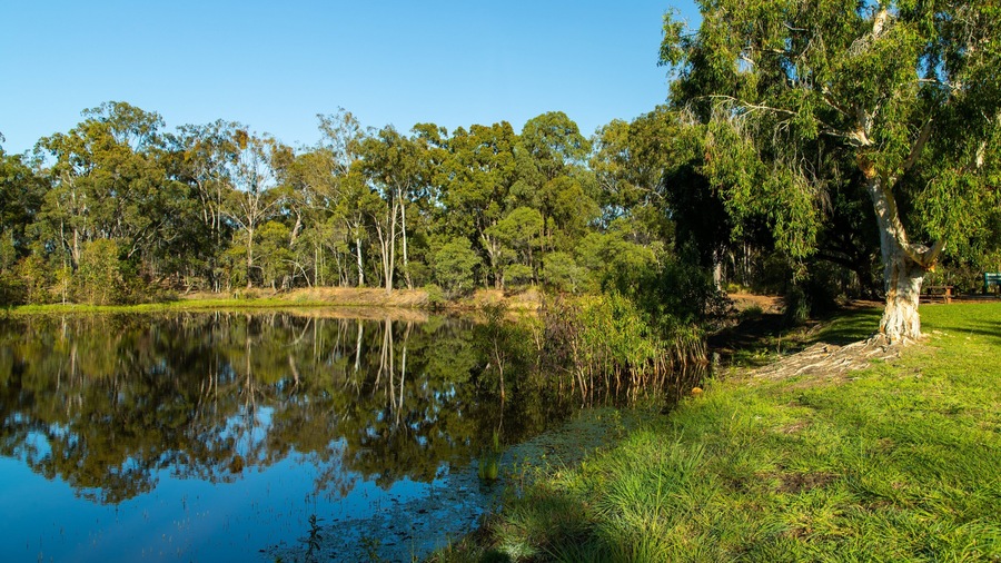Boyne Island which includes a lake or waterhole