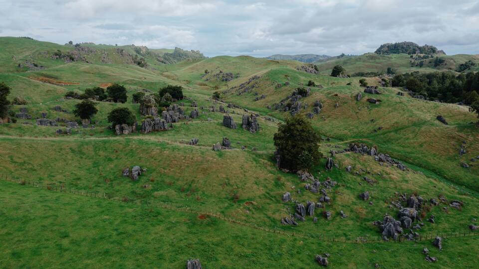 Rolling green hills with limestone rock formations dotting the landscape in Waitomo, Waitanguru, Te Kuiti, Waikato, New Zealand. The unique landscape is a popular tourist destination.