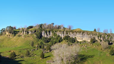 Picturesque green hills landscape panorama