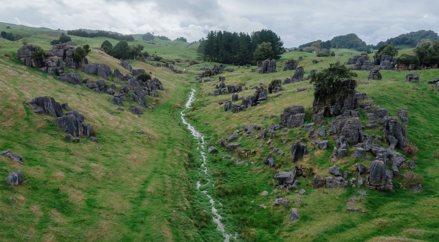 Rolling green hills with limestone rock formations dotting the landscape in Waitomo, Waitanguru, Te Kuiti, Waikato, New Zealand. The unique landscape is a popular tourist destination.
