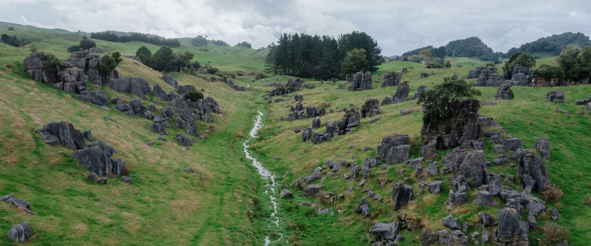 Rolling green hills with limestone rock formations dotting the landscape in Waitomo, Waitanguru, Te Kuiti, Waikato, New Zealand. The unique landscape is a popular tourist destination.