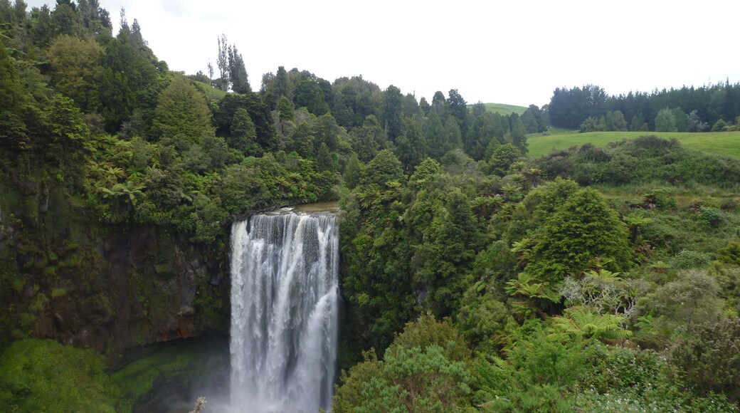 the Omaru Falls in Te Kuiti, Waikato, North Island, New Zealand, December