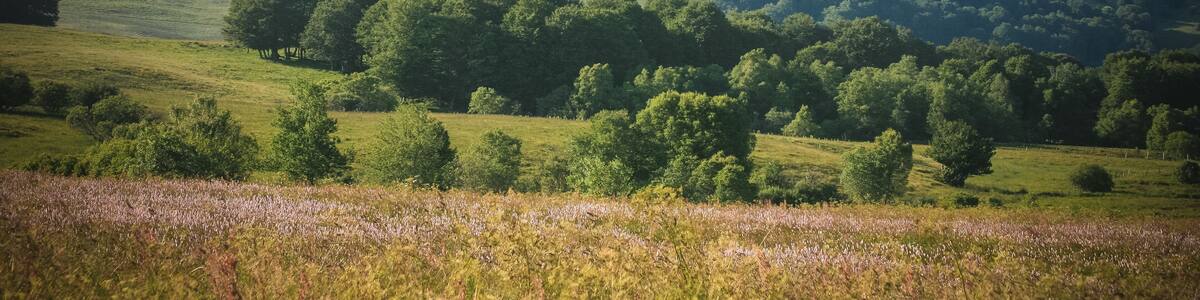 paysage volcanique en auvergne, Picherande