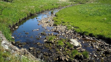 Un ruisseau bordé de rochers et d’herbe, dans un paysage vallonné.