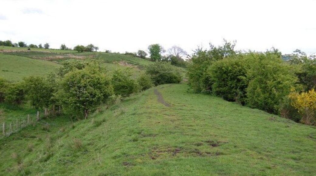 Course of old railway This is the embankment of an old railway line
