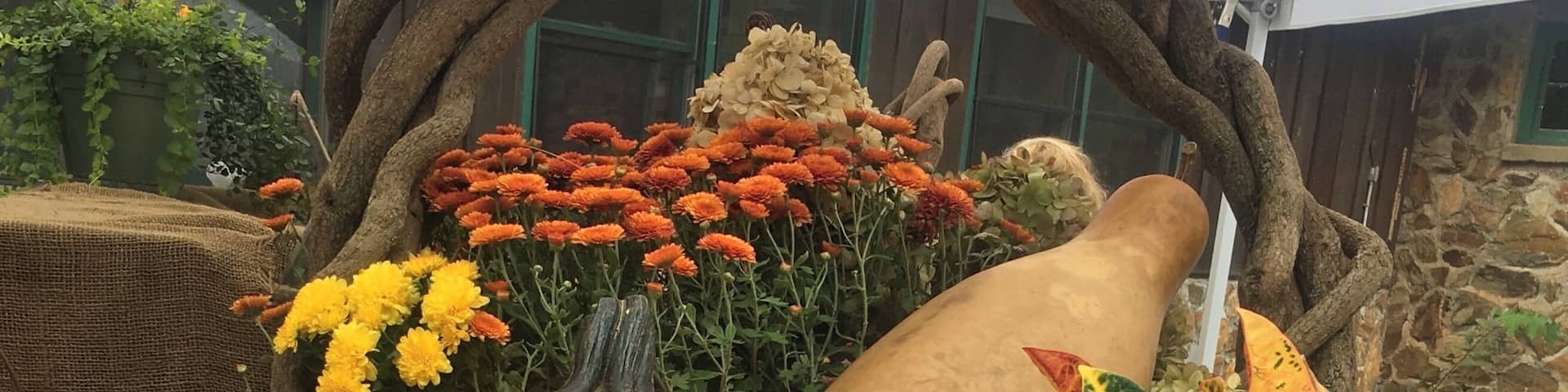 All you need in one place