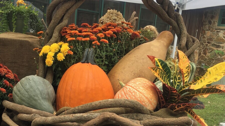 All you need in one place