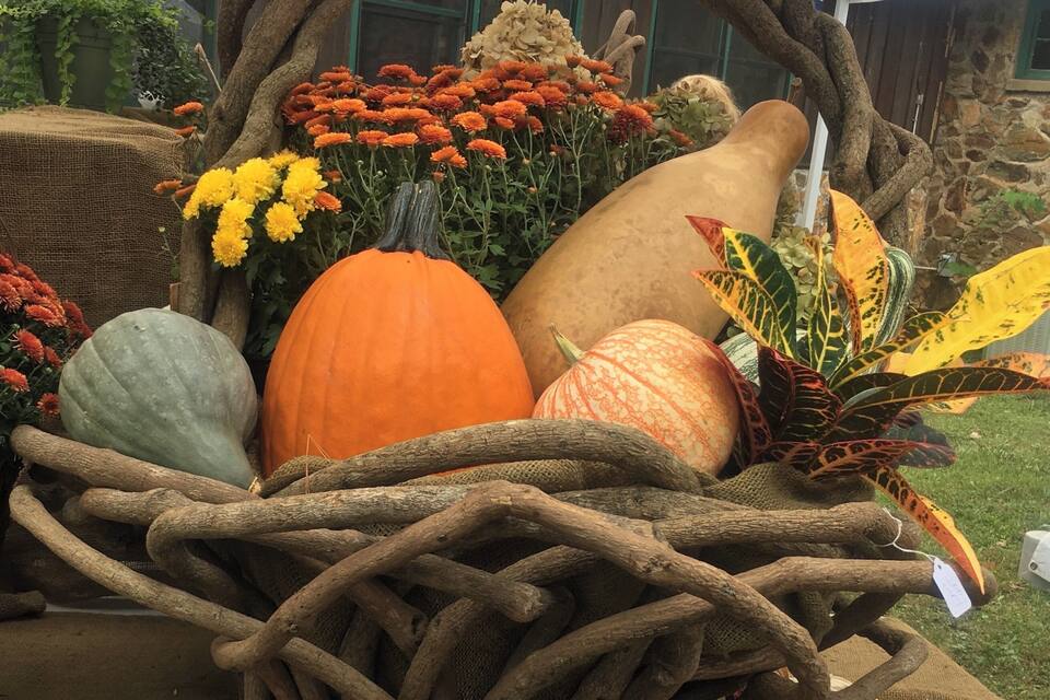 A display of autumnal decorations including pumpkins, gourds, and flowers.