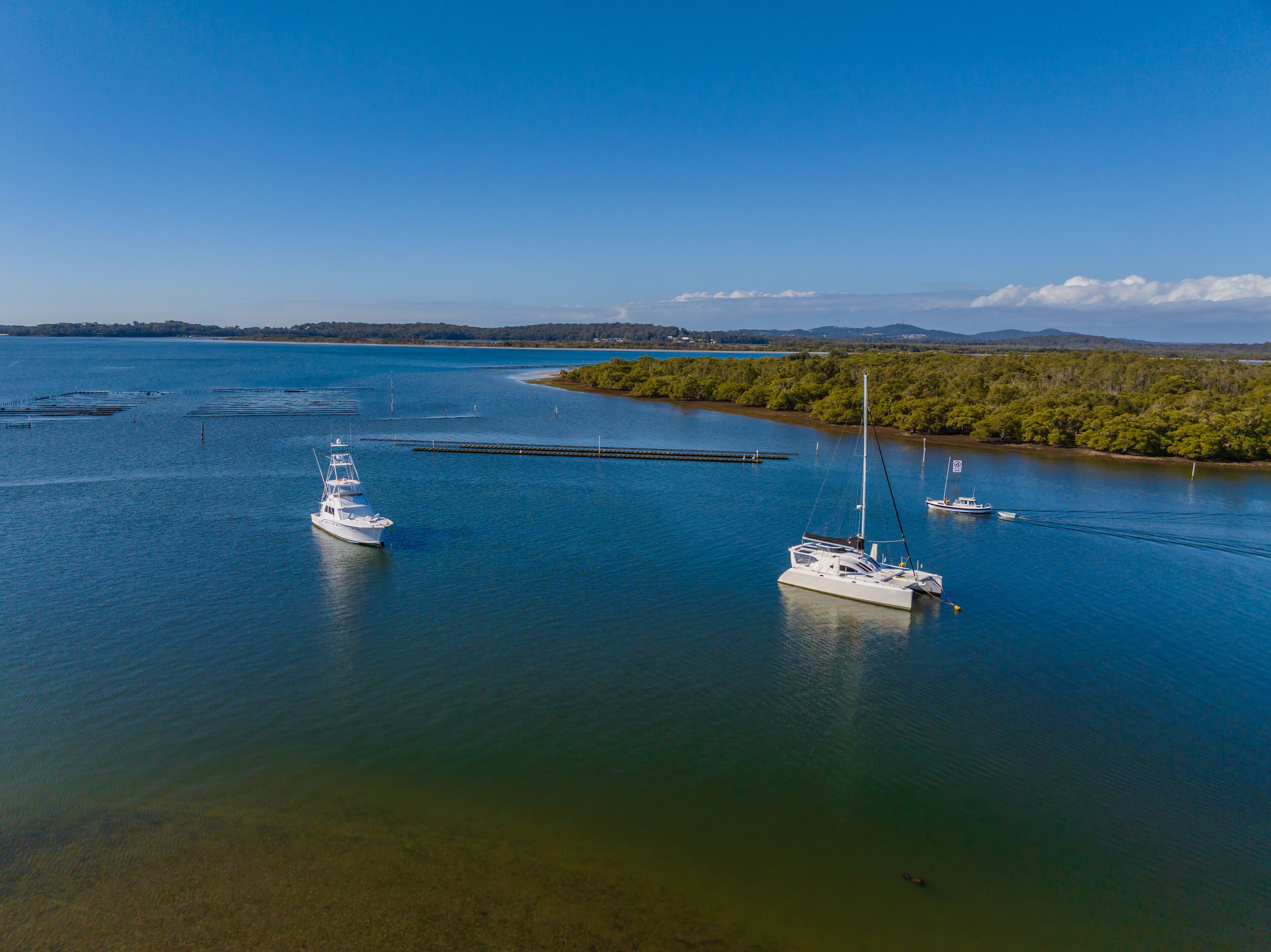 ليمون تري باسيج