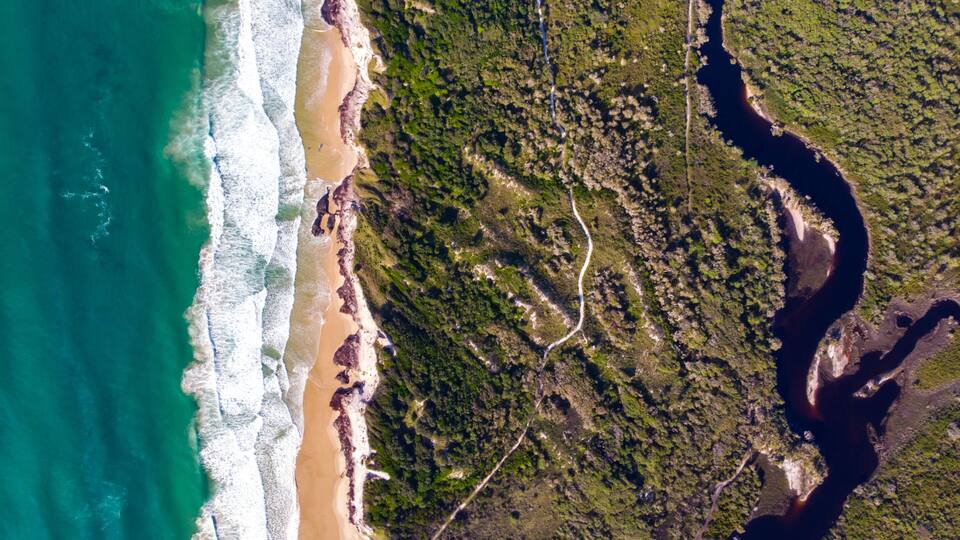 A coastal landscape with a beach, dense green forest, and a winding river.
