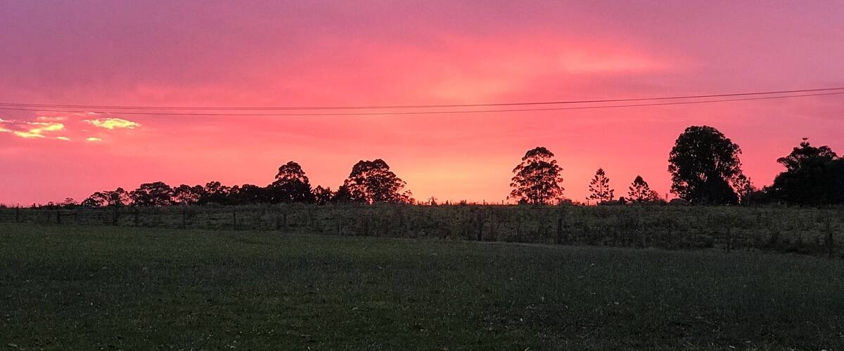 A sunset over a grassy field with trees silhouetted against a pink sky.