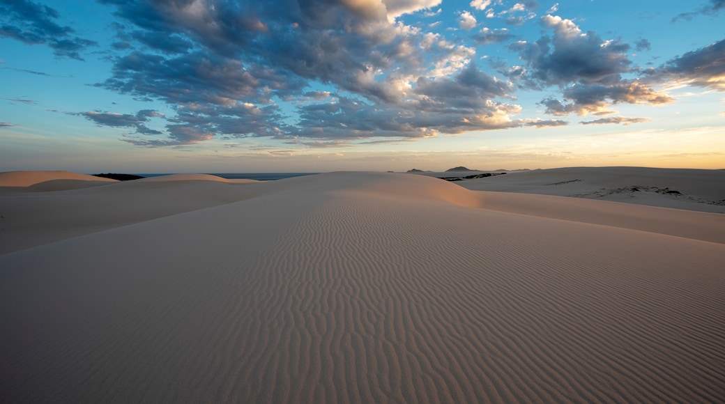 Sunset over Dark Point Sand Dunes, Myall Lakes National Park, Hawks Nest, NSW, Australia