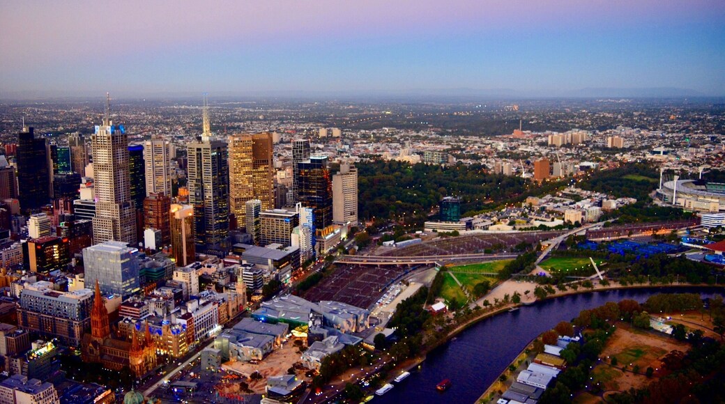 Watching the sun go down and the city lights flicker on in #Melbourne
#UrbanJungle #Australia
Travel tip: find a spot above the city to catch the sun setting behind the bustling city