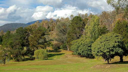 The picturesque but challenging Mount Beauty Golf Course - Victoria, Australia