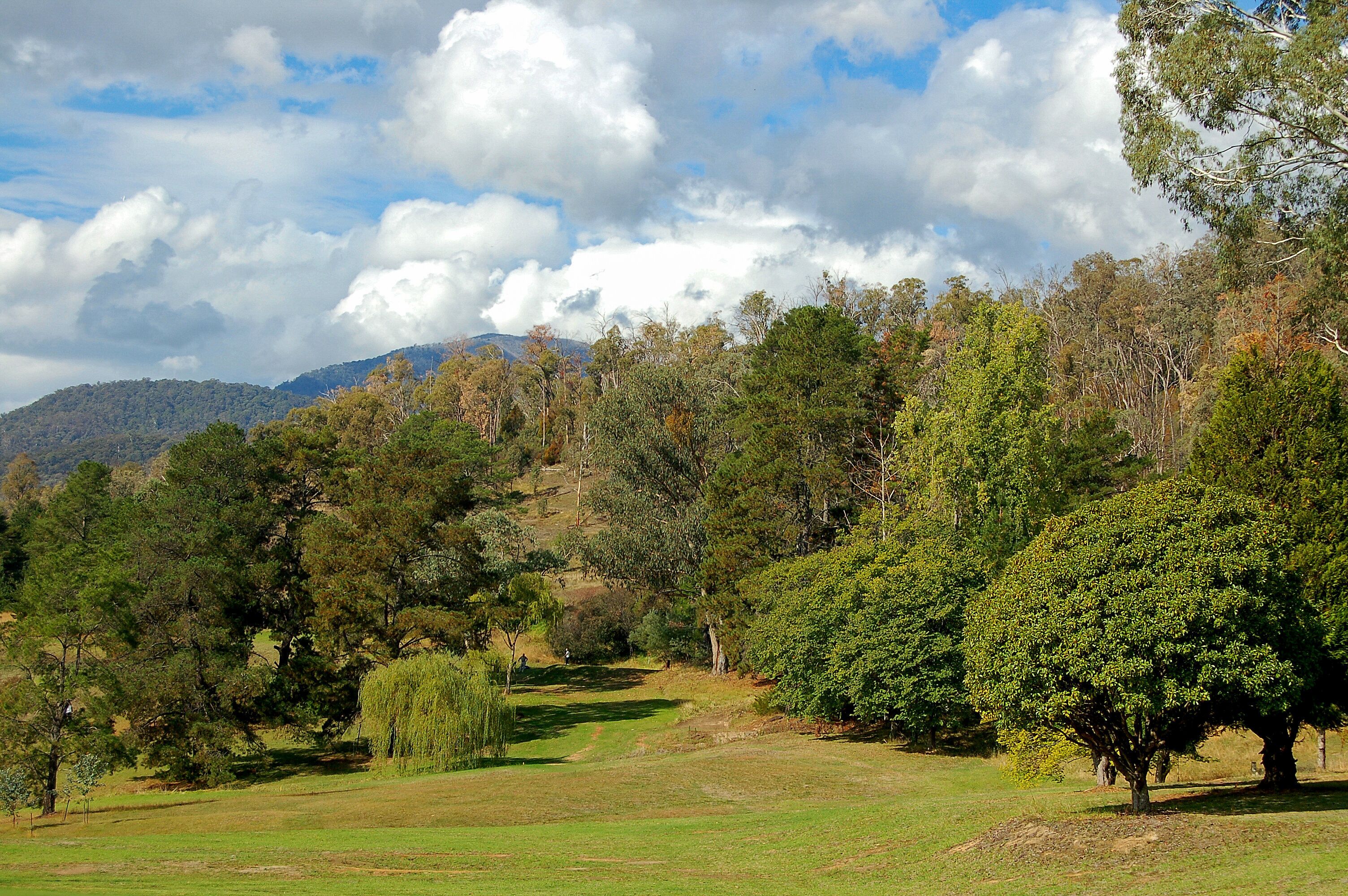A lush green landscape with a variety of trees, a clear sky, and distant mountains.