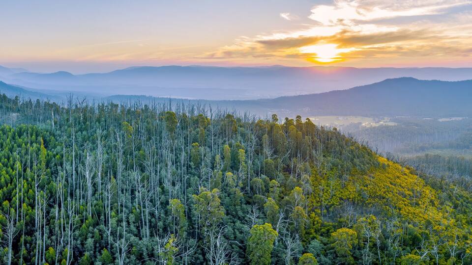 A forested mountain range with a clear sky and a setting sun.