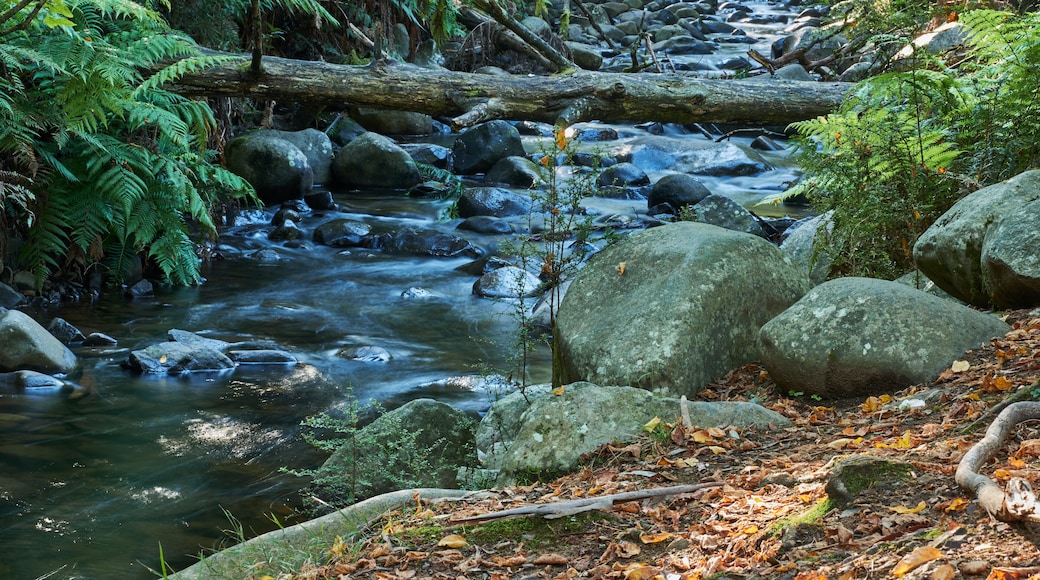 バッジャー クリーク