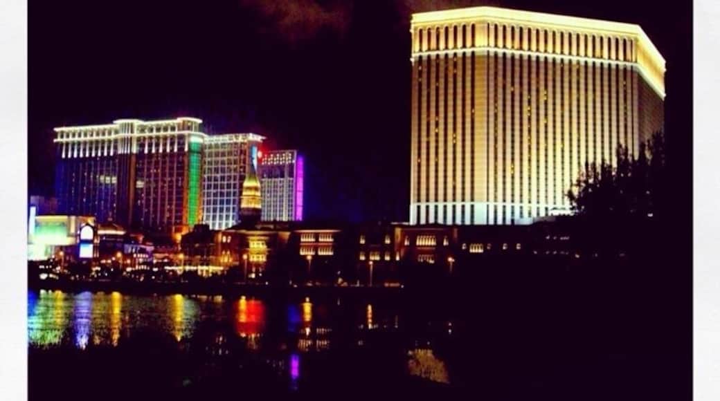 Casinos of the Cotai Strip. To the right, Sands Cotai Central and to the left, The Venetian Macao (the largest casino in the world and the worlds largest single building hotel, not bad for one of the worlds smallest countries with a high population density). http://en.m.wikipedia.org/wiki/The_Venetian_Macao.
It seems that Sheldon Adelson and The Las Vegas Sands Corporation are making a clear run for Macau.