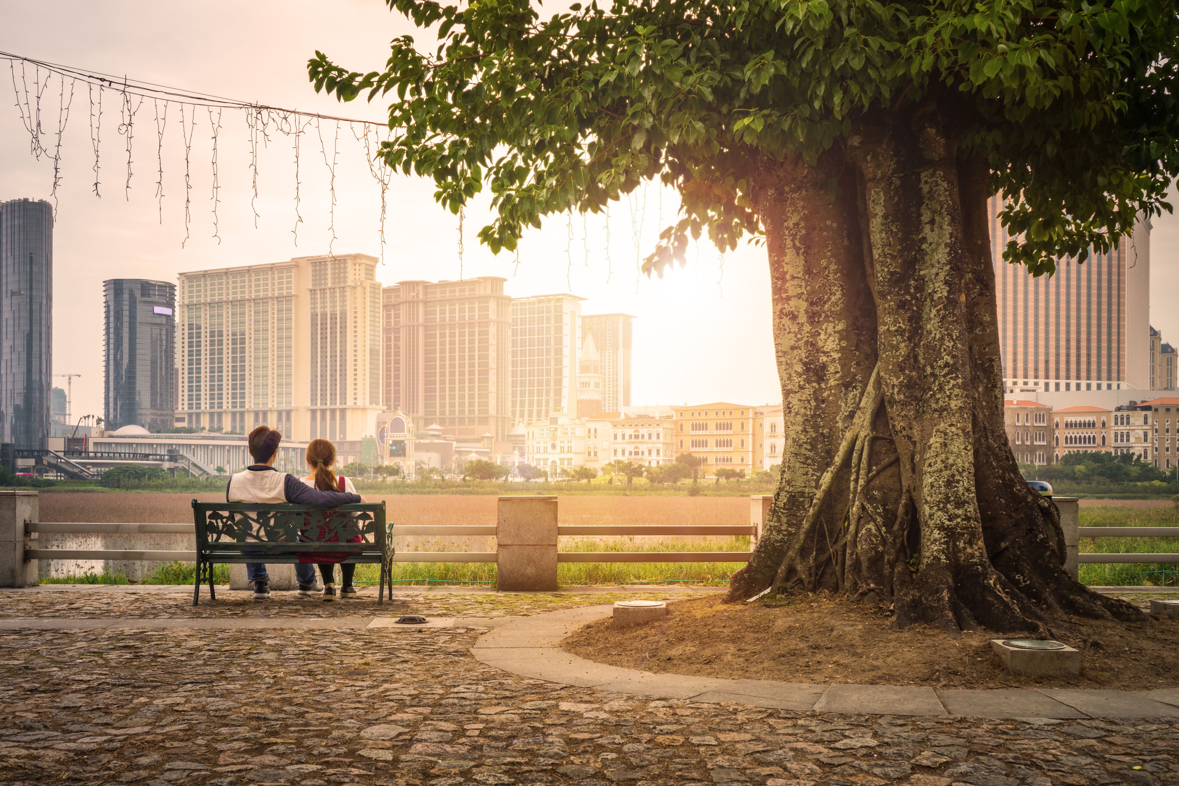 A couple sitting on a bench under a tree with a cityscape in the background.