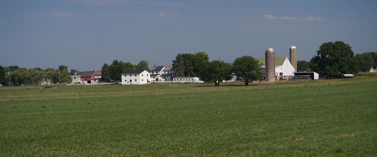 A rural landscape with a large green field, white farm buildings, and two grain silos.