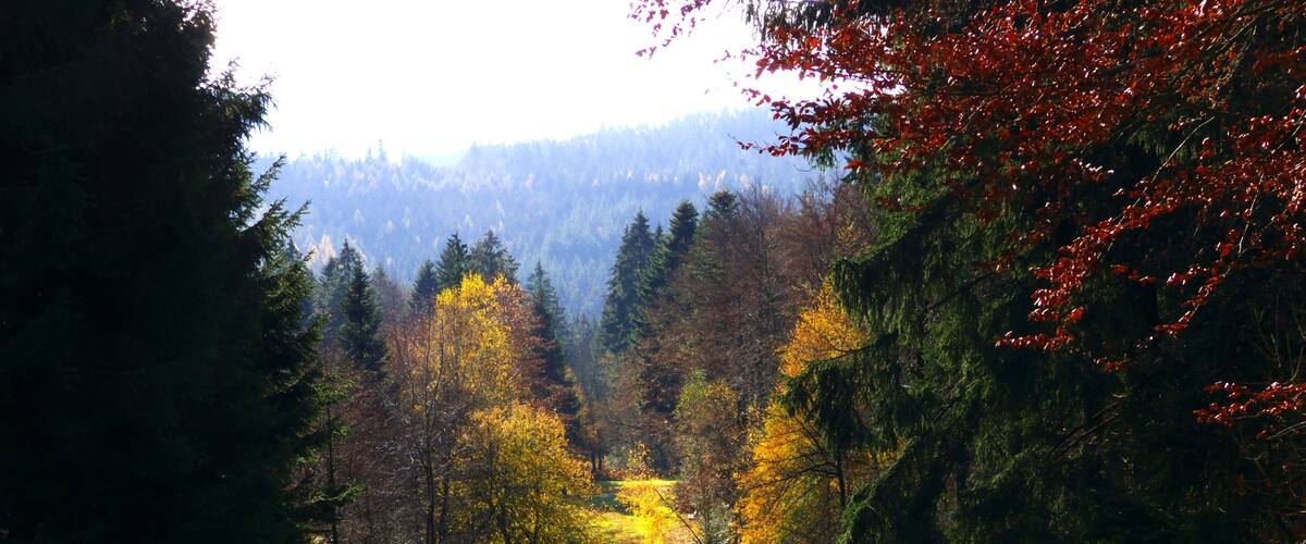 Valley