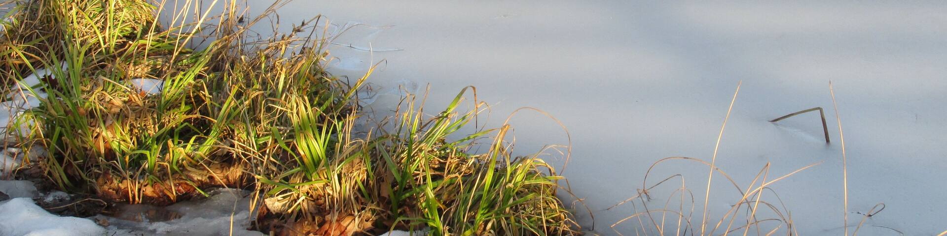 Naturpark Nordschwarzwald