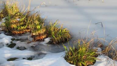 Naturpark Nordschwarzwald