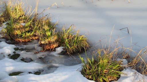 Naturpark Nordschwarzwald