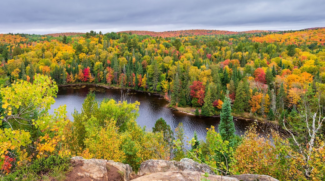 غرينفيل-سور-لاروج
