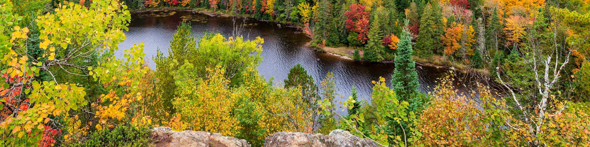 Panorama sur le parc Algonquin et ses couleurs d'automne - Ontario - Canada