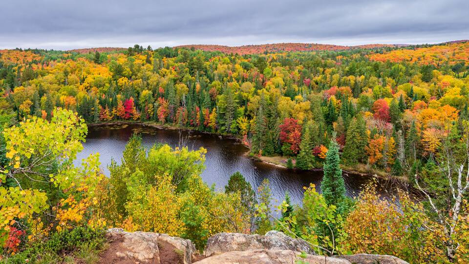 Panorama sur le parc Algonquin et ses couleurs d'automne - Ontario - Canada