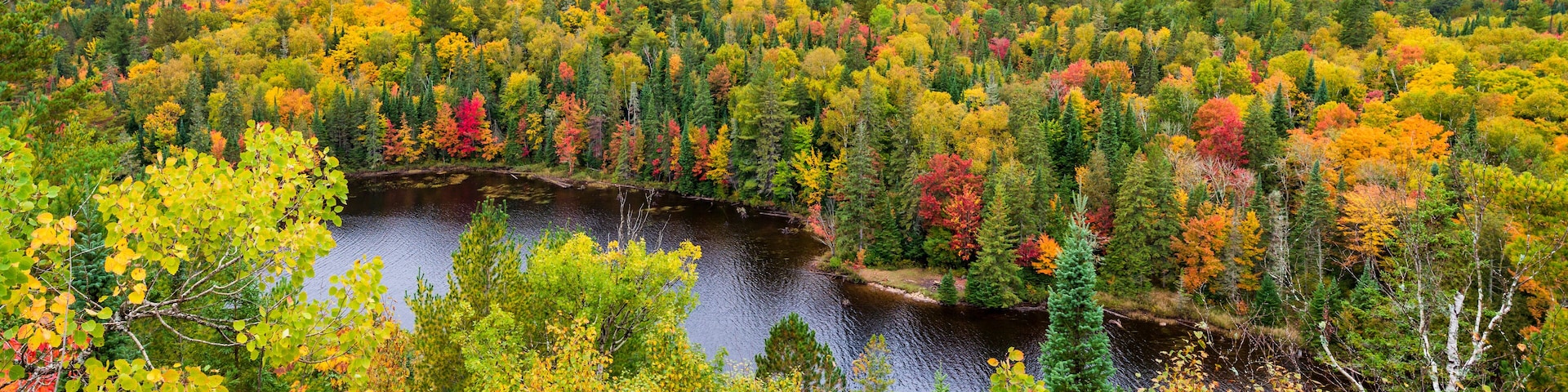 Panorama sur le parc Algonquin et ses couleurs d'automne - Ontario - Canada