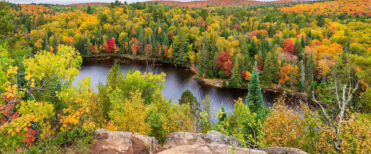 A lake surrounded by autumn-colored trees and a forested hill in the background.