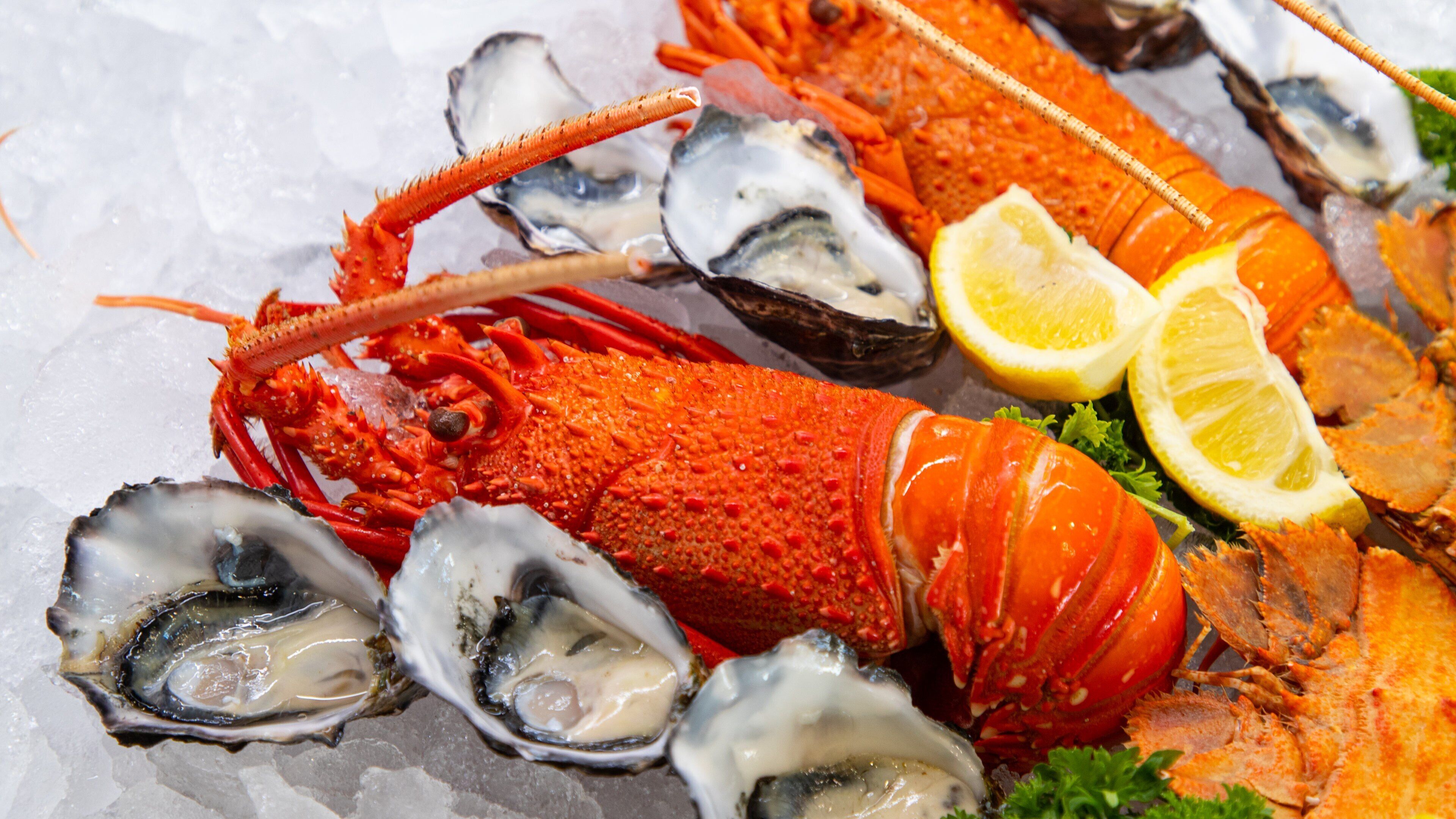 Capricorn Coast which includes dining out and food