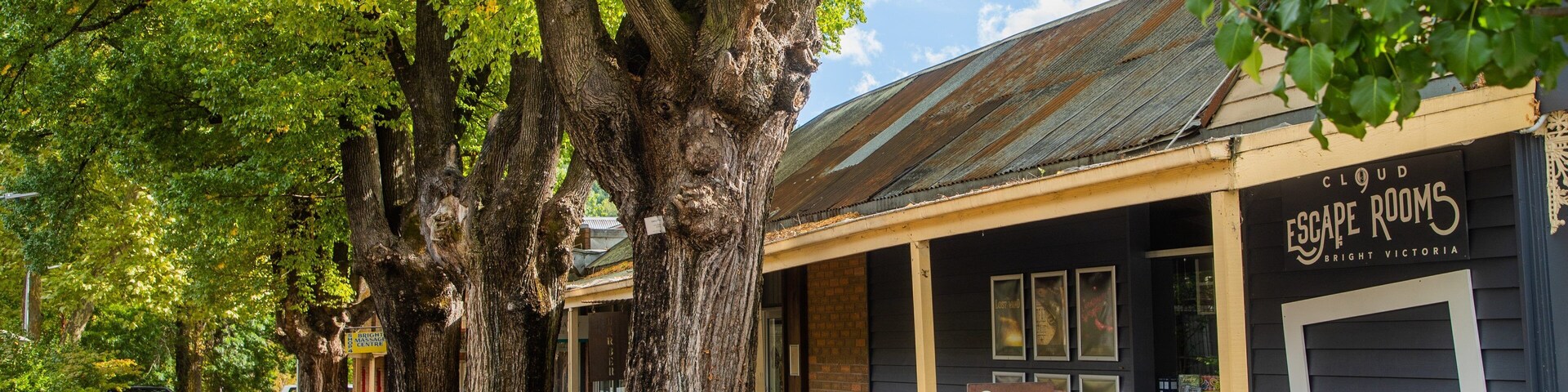 Una calle bordeada de grandes árboles y un edificio con el rótulo 'Cloud Escape Rooms', en Bright Victoria.