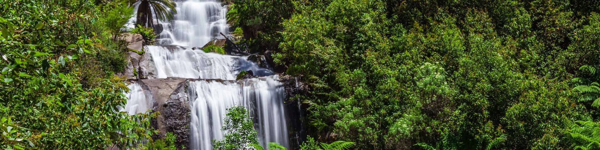 Una cascada escalonada rodeada de exuberante vegetación y helechos.