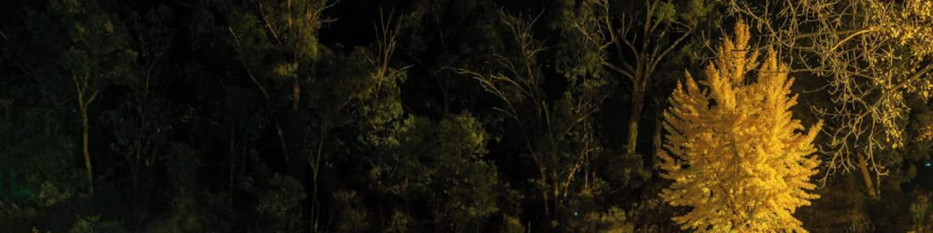 A stone bridge over a calm river at night, surrounded by trees and illuminated by artificial lights.