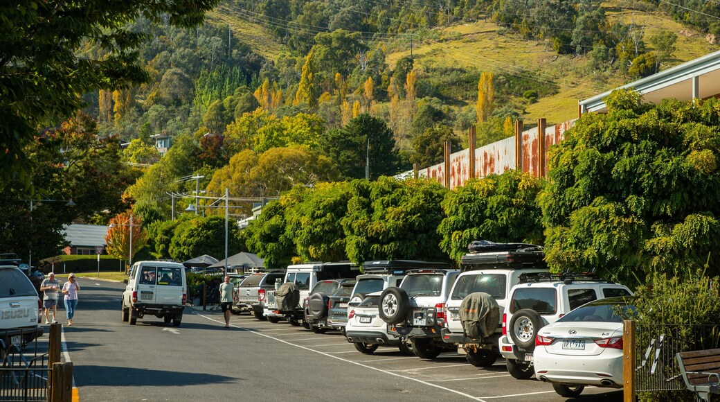 Mount Beauty showing street scenes