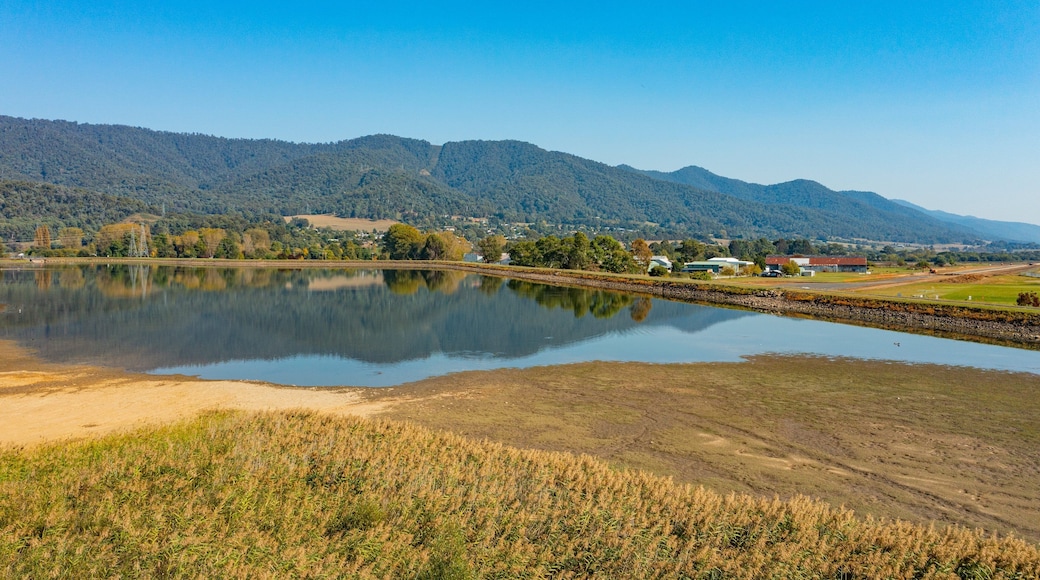Mount Beauty