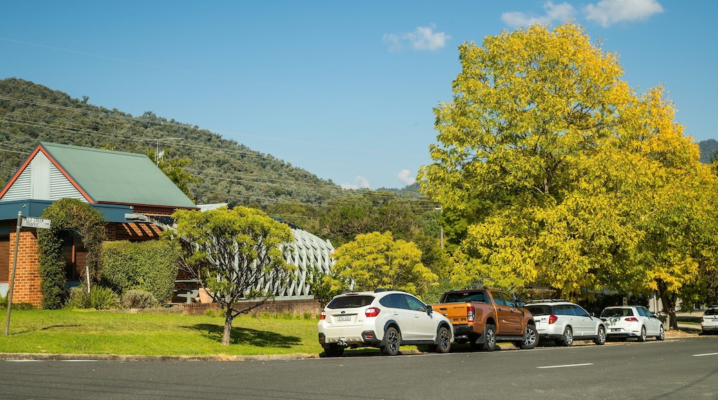 Mount Beauty showing a small town or village