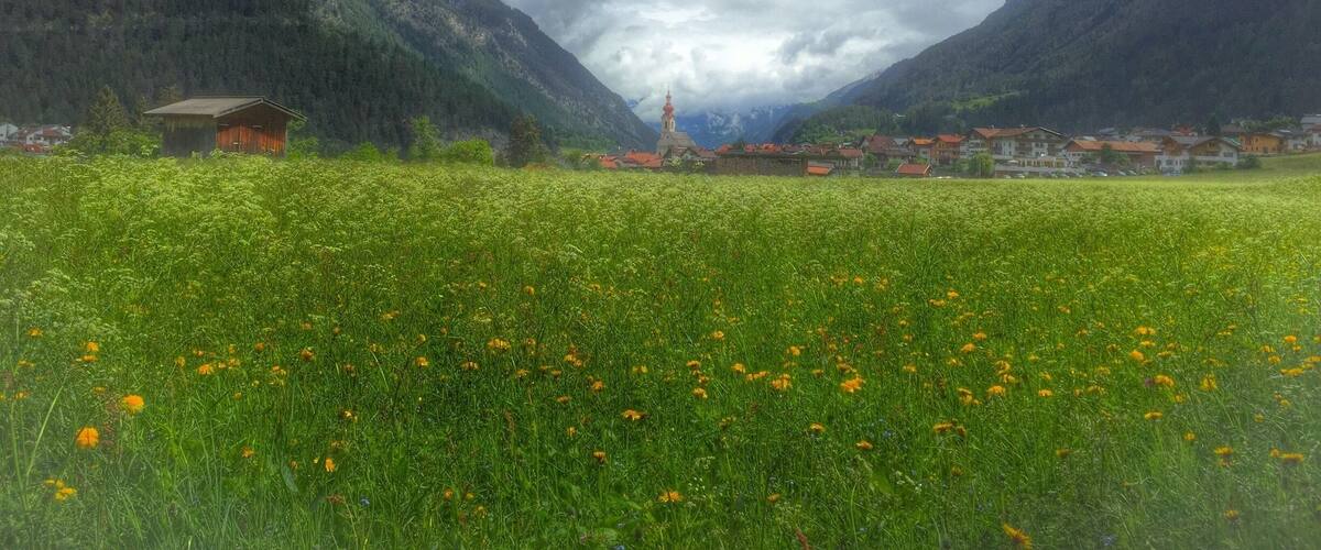 A valley with a church, a field of yellow flowers, and mountains in the background.