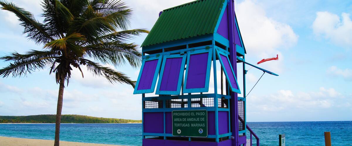 A purple lifeguard tower with a green roof on a sandy beach, palm trees, and a clear blue ocean.