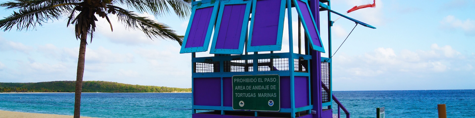 A purple lifeguard tower with a green roof on a sandy beach, palm trees, and a clear blue ocean.