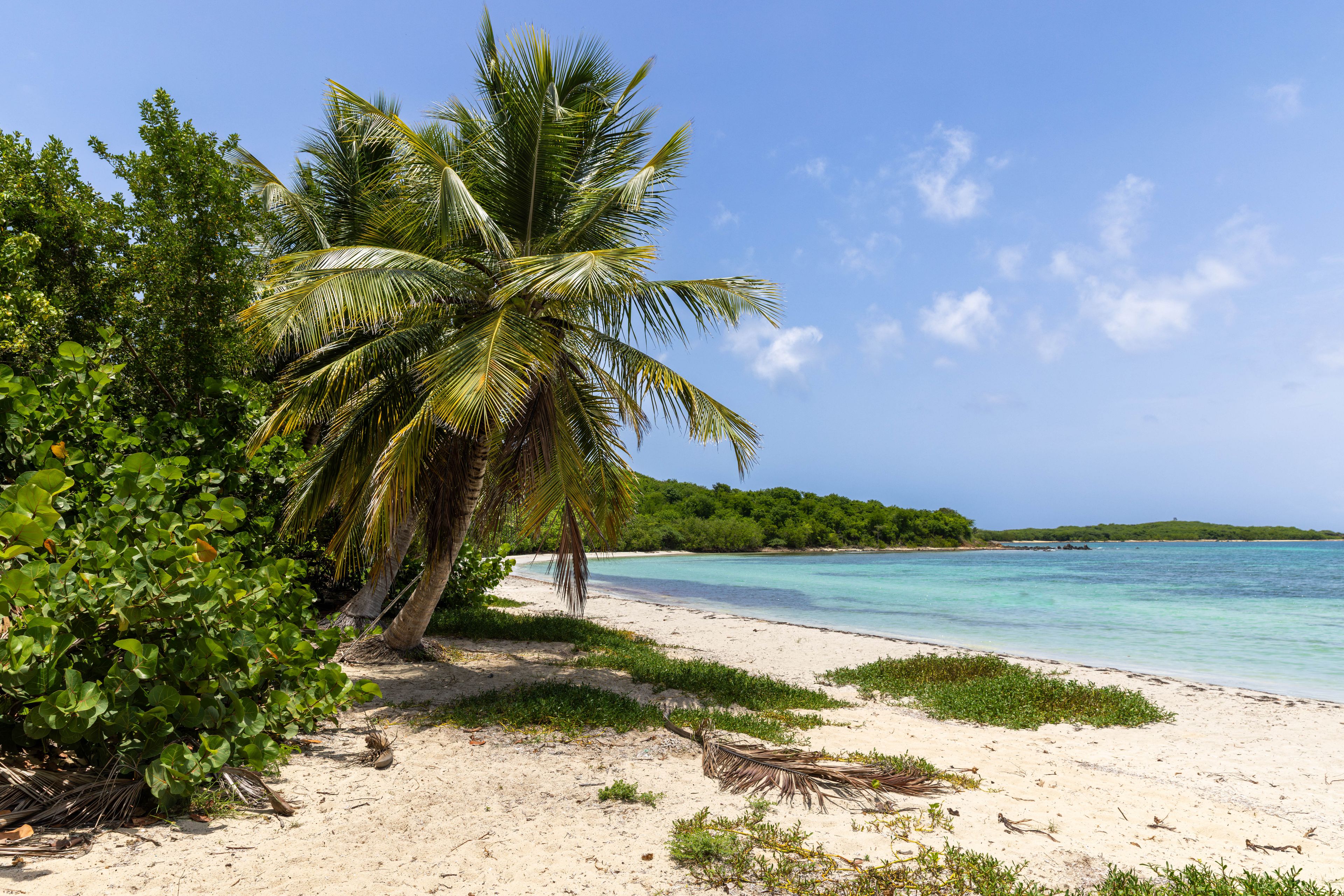 La Chiva Beach, Vieques, Puerto Rico