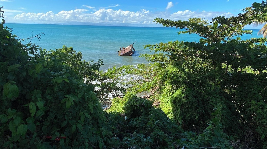 Great place to watch the #pelicans on #viequas #spanishcaribbean