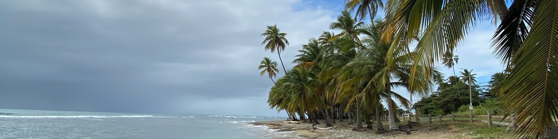 Super way to drop out of the holidays