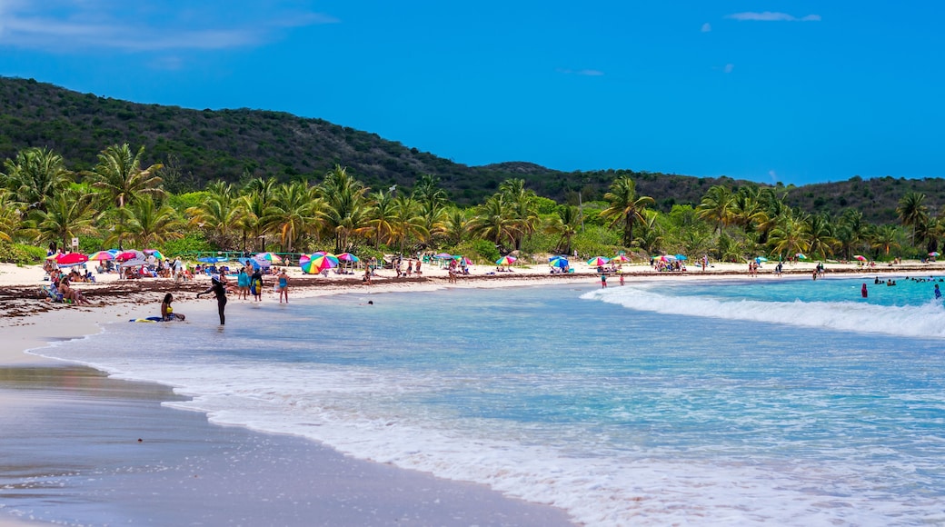 caribbean sand beach and blue sky