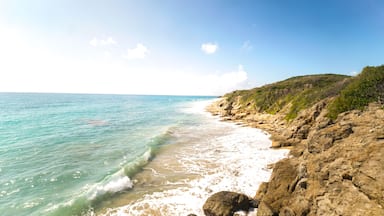 Puerto Rican beach on Vieques, Shutterstock ID 1075425815, purchase_order: SP-1269 HA 2018 Batch 1, Order: , client: , other: